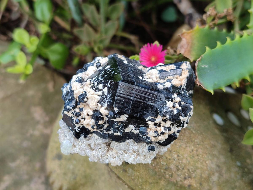 Natural Schorl Black Tourmaline Specimens with Muscovite Mica and Orthoclase x 12 From Erongo, Namibia