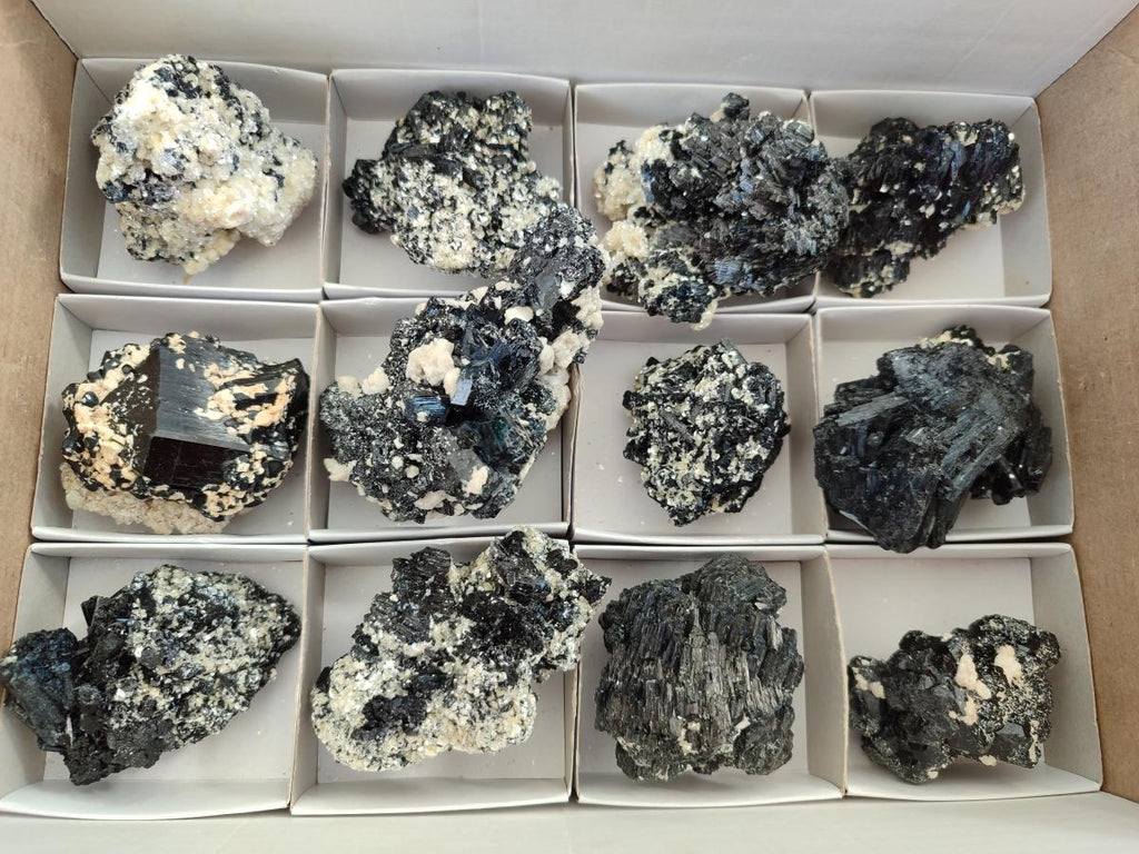 Natural Schorl Black Tourmaline Specimens with Muscovite Mica and Orthoclase x 12 From Erongo, Namibia
