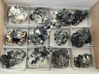 Natural Schorl Black Tourmaline Specimens with Muscovite Mica and Orthoclase x 12 From Erongo, Namibia