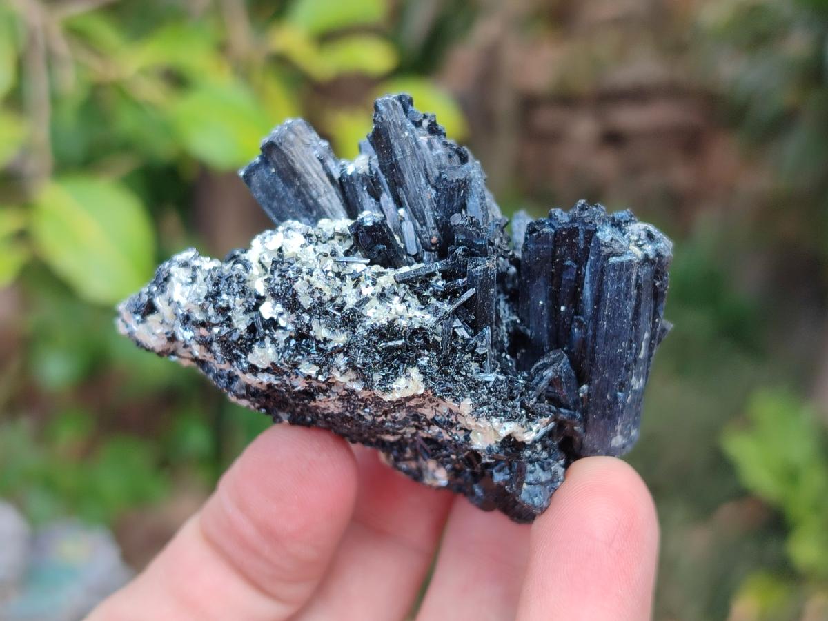 Natural Schorl Black Tourmaline Specimens with Muscovite Mica and Orthoclase x 12 From Erongo, Namibia