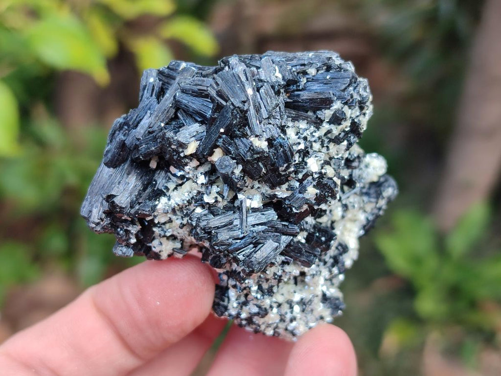 Natural Schorl Black Tourmaline Specimens with Muscovite Mica and Orthoclase x 12 From Erongo, Namibia