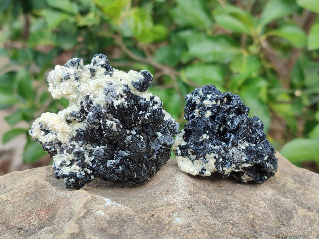 Natural Schorl Black Tourmaline Specimens with Muscovite Mica and Orthoclase x 12 From Erongo, Namibia