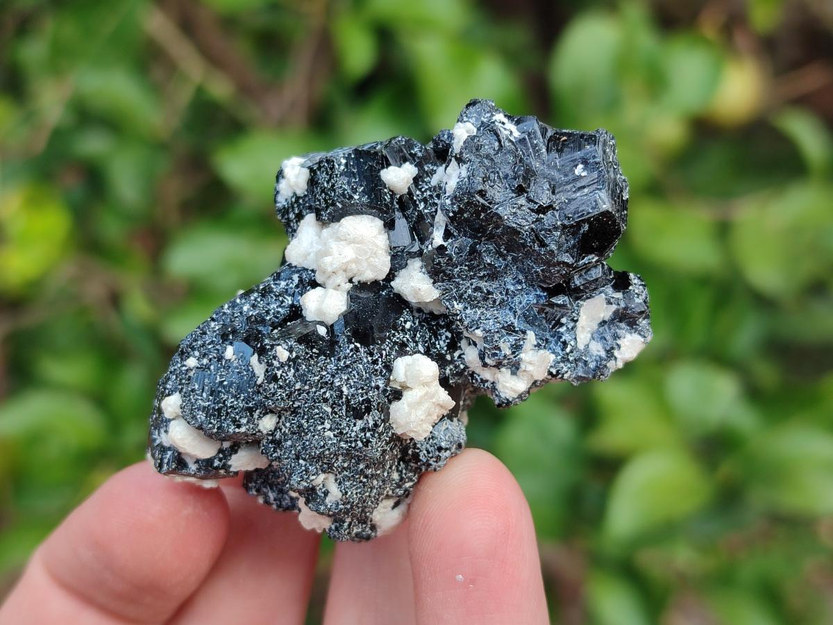 Natural Schorl Black Tourmaline Specimens with Muscovite Mica and Orthoclase x 12 From Erongo, Namibia