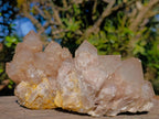 Natural Cascading White Phantom Smokey Luena Quartz Clusters x 3 From Luena, Congo - Toprock Gemstones and Minerals 