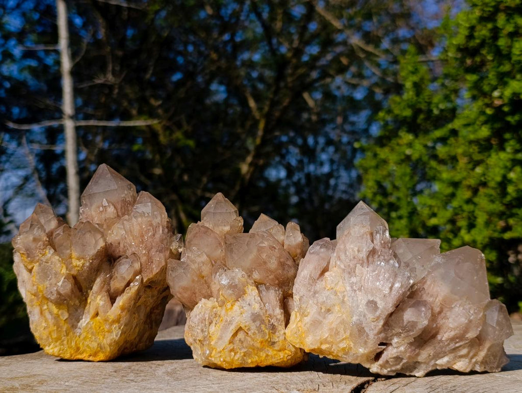Natural Cascading White Phantom Smokey Luena Quartz Clusters x 3 From Luena, Congo - Toprock Gemstones and Minerals 