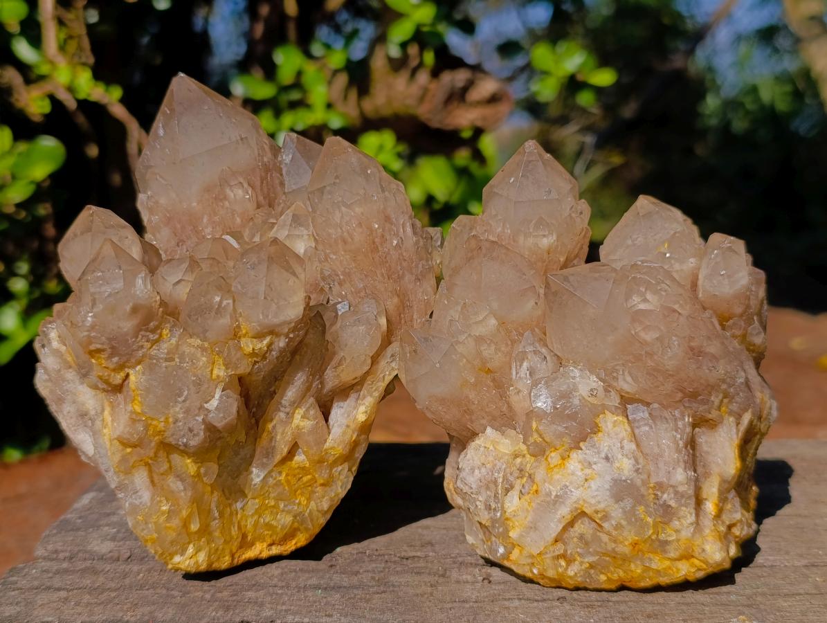 Natural Cascading White Phantom Smokey Luena Quartz Clusters x 3 From Luena, Congo - Toprock Gemstones and Minerals 