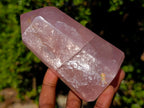 Polished Gemmy Rose Quartz Display Crystals x 4 From Madagascar