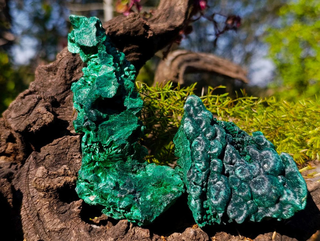 Natural Silky Malachite Specimens x 6 From Kasompe, Congo - Toprock Gemstones and Minerals 