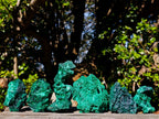 Natural Silky Malachite Specimens x 6 From Kasompe, Congo - Toprock Gemstones and Minerals 