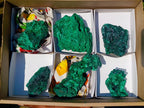 Natural Silky Malachite Specimens x 6 From Kasompe, Congo - Toprock Gemstones and Minerals 