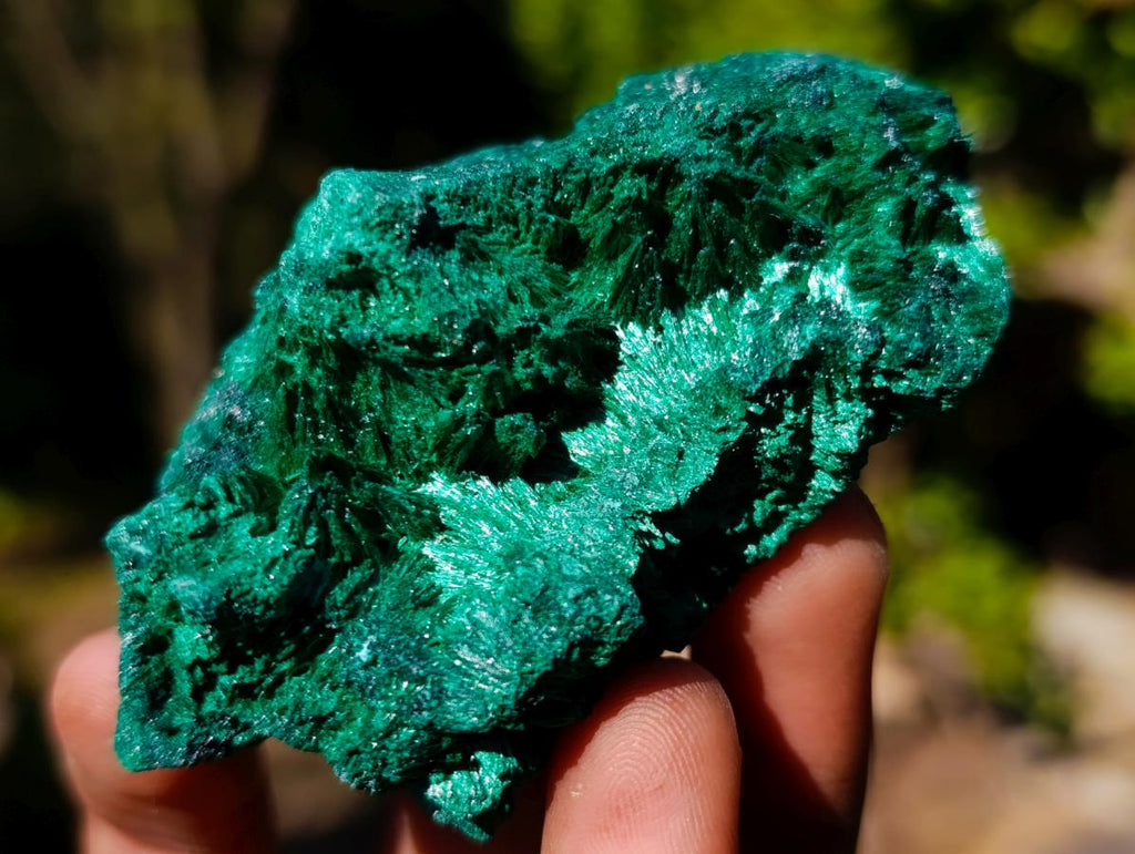 Natural Silky Malachite Specimens x 6 From Kasompe, Congo - Toprock Gemstones and Minerals 