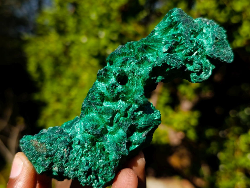 Natural Silky Malachite Specimens x 6 From Kasompe, Congo - Toprock Gemstones and Minerals 