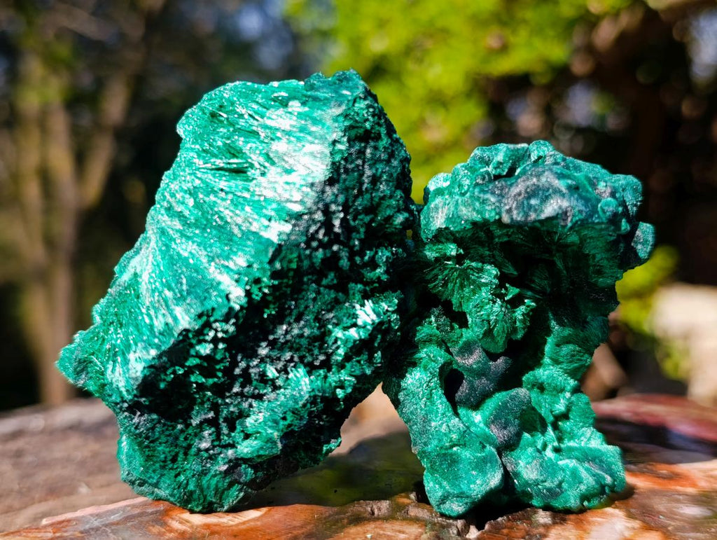 Natural Silky Malachite Specimens x 6 From Kasompe, Congo - Toprock Gemstones and Minerals 
