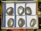 Polished Basalt Pharaoh Stone Galets x 6 From Iron Duke Mine, Zimbabwe - Toprock Gemstones and Minerals 