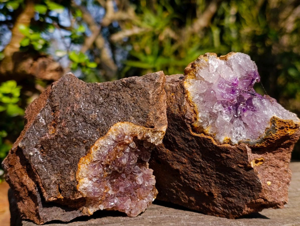 Natural Zululand Amethyst Agate Geodes x 12 From Jozini, South Africa - Toprock Gemstones and Minerals 