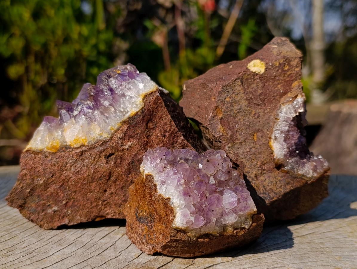Natural Zululand Amethyst Agate Geodes x 12 From Jozini, South Africa - Toprock Gemstones and Minerals 