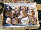 Natural Zululand Amethyst Agate Geodes x 12 From Jozini, South Africa - Toprock Gemstones and Minerals 