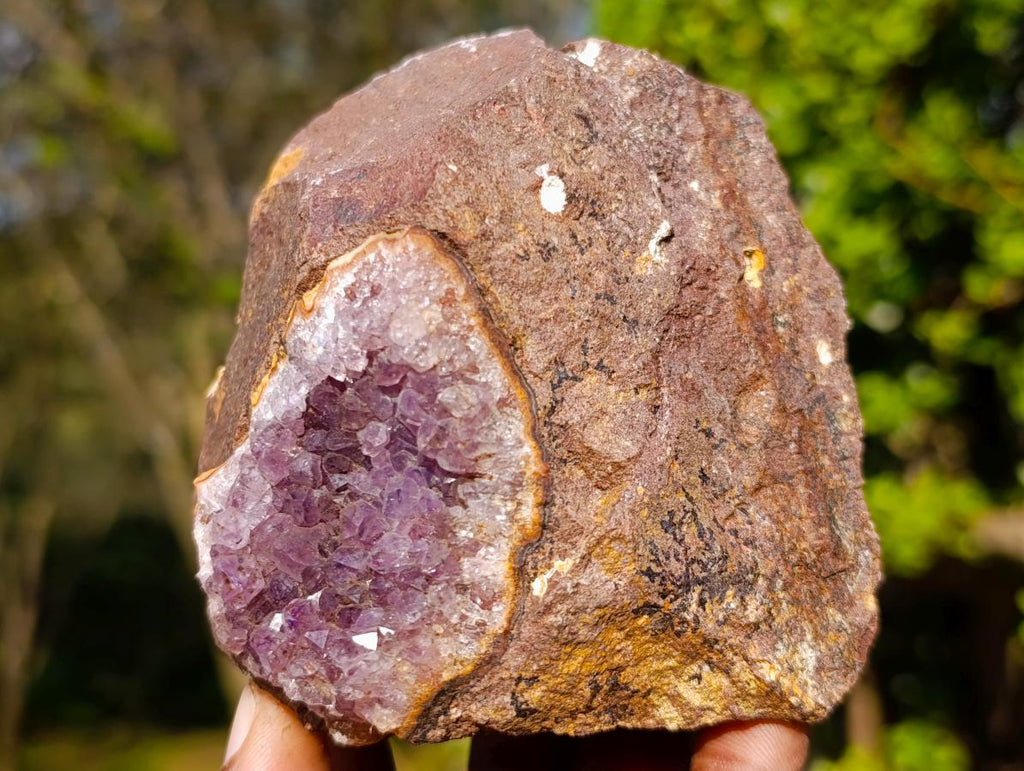 Natural Zululand Amethyst Agate Geodes x 12 From Jozini, South Africa - Toprock Gemstones and Minerals 