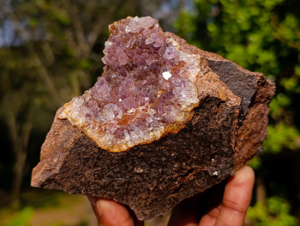 Natural Zululand Amethyst Agate Geodes x 12 From Jozini, South Africa - Toprock Gemstones and Minerals 