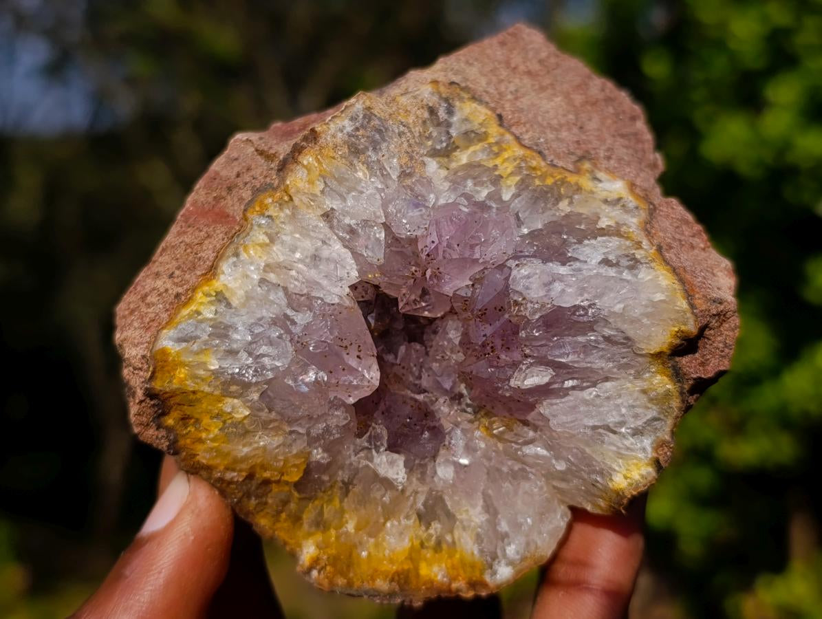 Natural Zululand Amethyst Agate Geodes x 12 From Jozini, South Africa - Toprock Gemstones and Minerals 