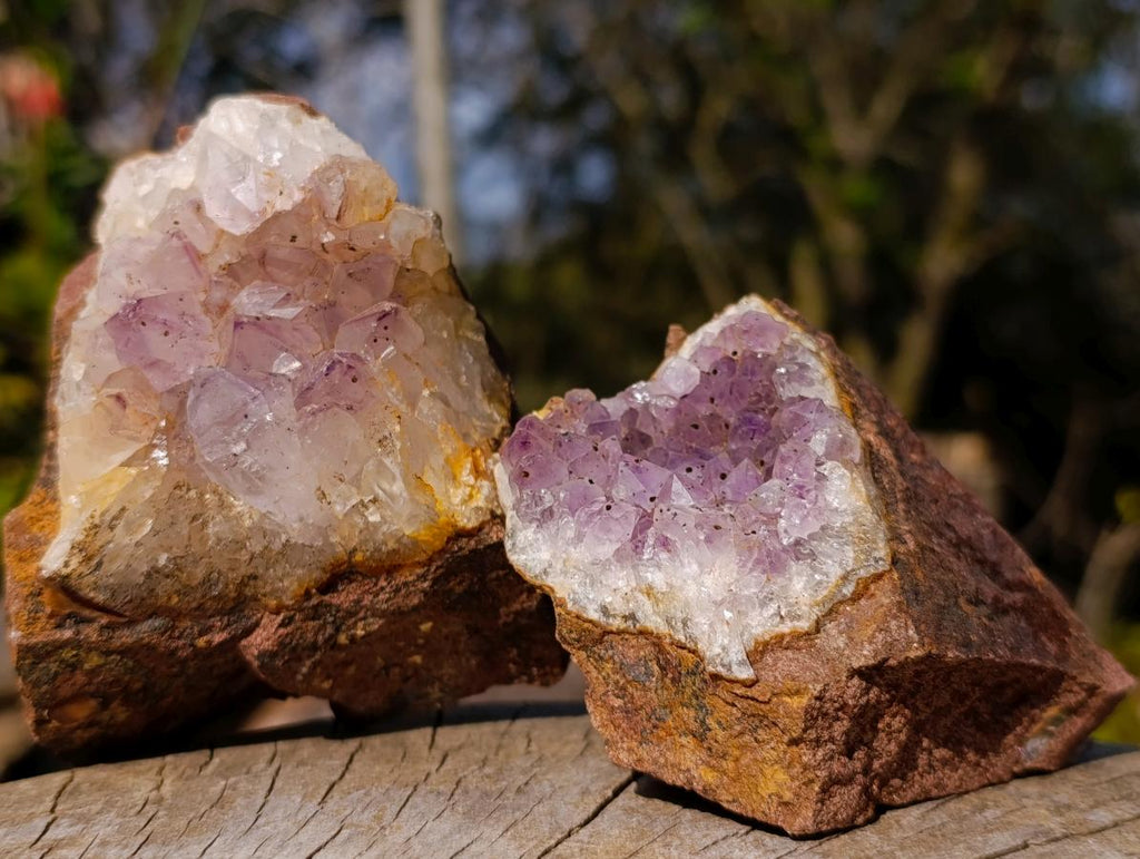 Natural Zululand Amethyst Agate Geodes x 12 From Jozini, South Africa - Toprock Gemstones and Minerals 
