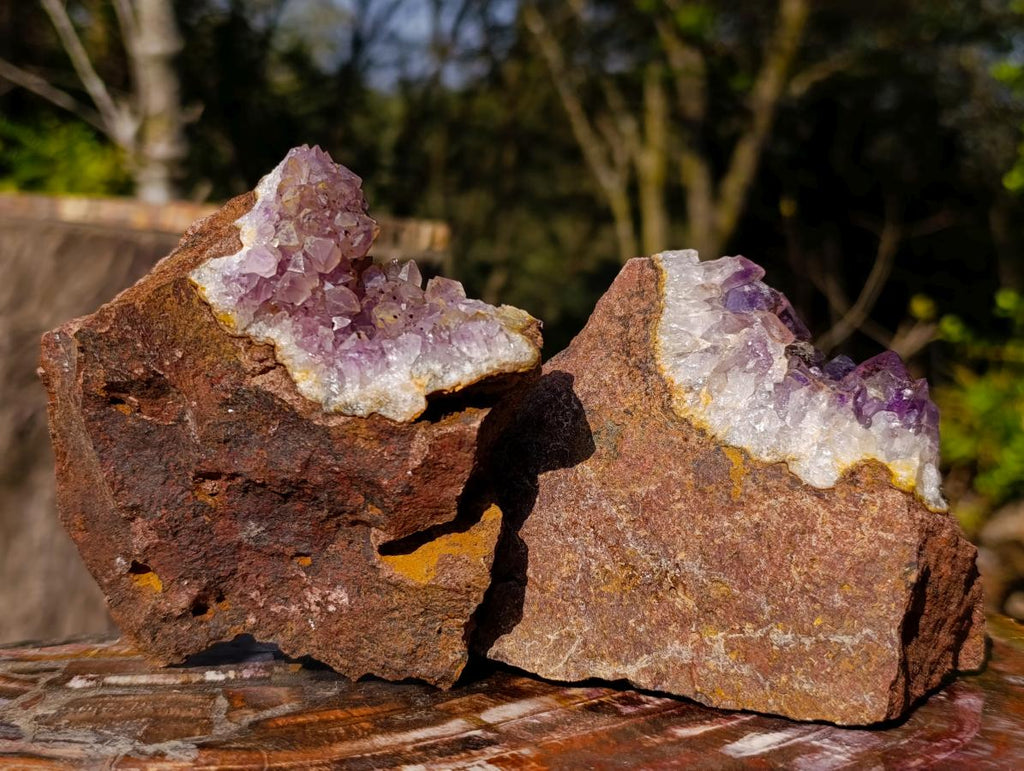 Natural Zululand Amethyst Agate Geodes x 12 From Jozini, South Africa - Toprock Gemstones and Minerals 