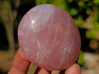 Polished Gemmy Rose Quartz Palm Stone x 24 From Madagascar - Toprock Gemstones and Minerals 
