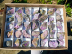 Natural Cobbed Stichtite Specimens x 35 From Barberton, South Africa - Toprock Gemstones and Minerals 