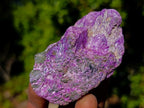 Natural Cobbed Stichtite Specimens x 35 From Barberton, South Africa - Toprock Gemstones and Minerals 