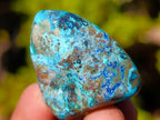 Polished Shattuckite Free Forms with Chrysocolla Azurite and Malachite x 35 From Congo - Toprock Gemstones and Minerals 