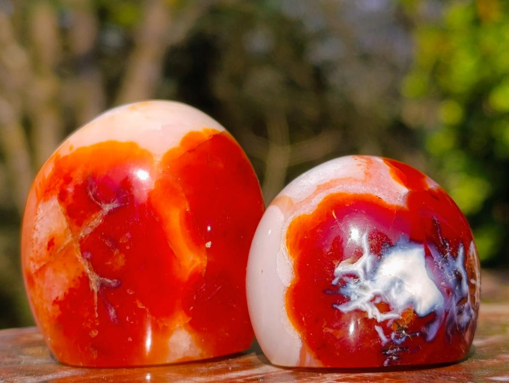Polished Carnelian Agate Gemstone Geode Free Forms x 12 From Madagascar