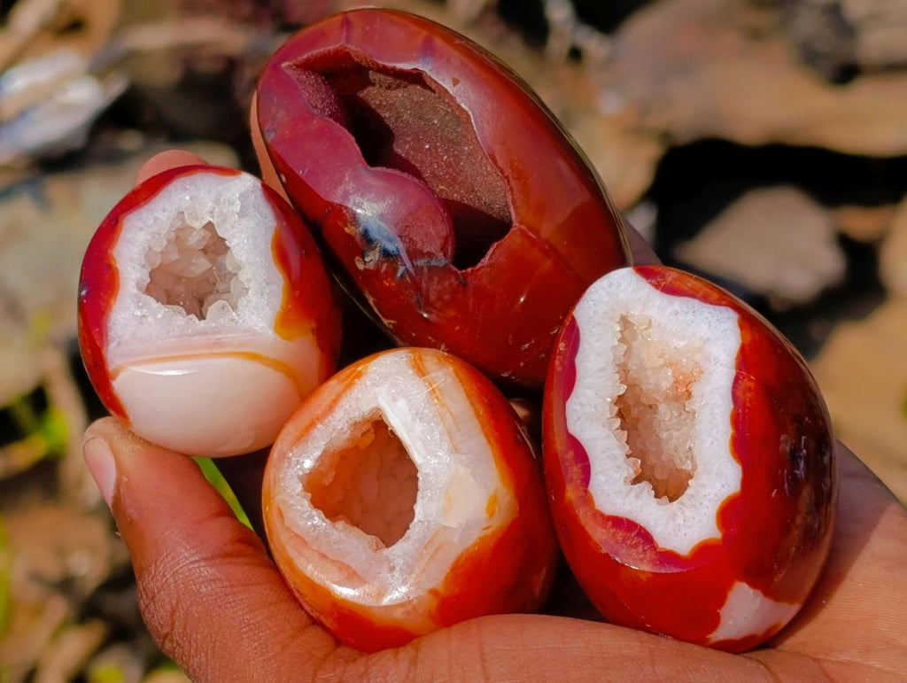 Polished Carnelian Agate Gemstone Geode Free Forms x 12 From Madagascar