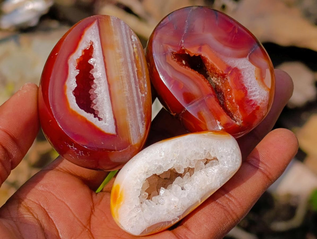 Polished Carnelian Agate Gemstone Geode Free Forms x 12 From Madagascar