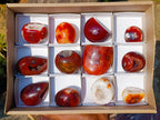Polished Carnelian Agate Gemstone Geode Free Forms x 12 From Madagascar