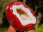 Polished Carnelian Agate Gemstone Geode Free Forms x 12 From Madagascar
