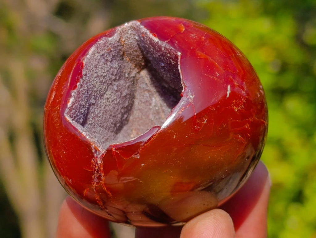 Polished Carnelian Agate Gemstone Geode Free Forms x 12 From Madagascar