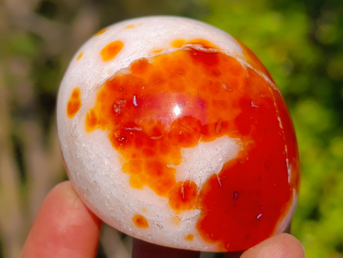 Polished Carnelian Agate Gemstone Geode Free Forms x 12 From Madagascar