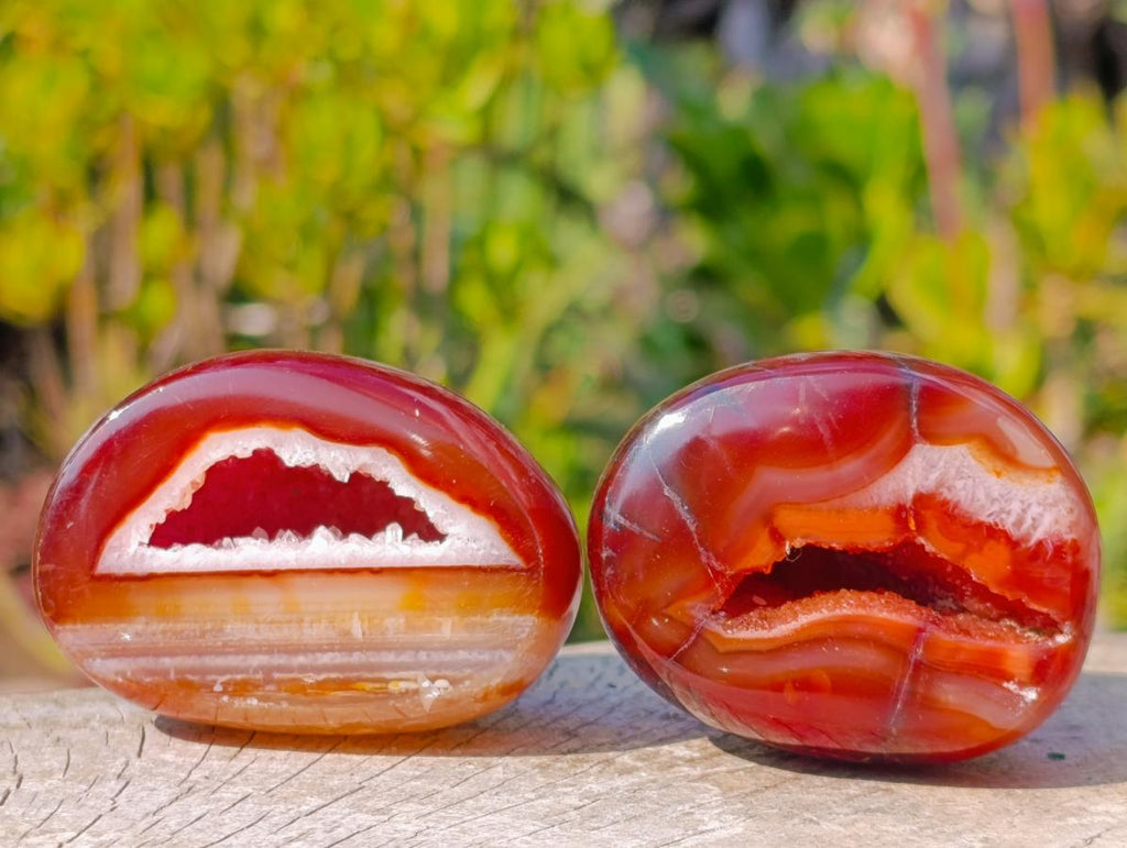 Polished Carnelian Agate Gemstone Geode Free Forms x 12 From Madagascar