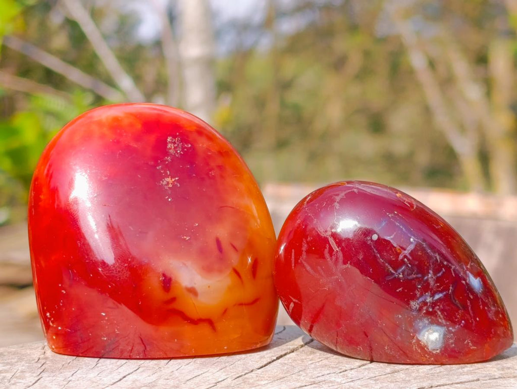 Polished Carnelian Agate Gemstone Geode Free Forms x 12 From Madagascar