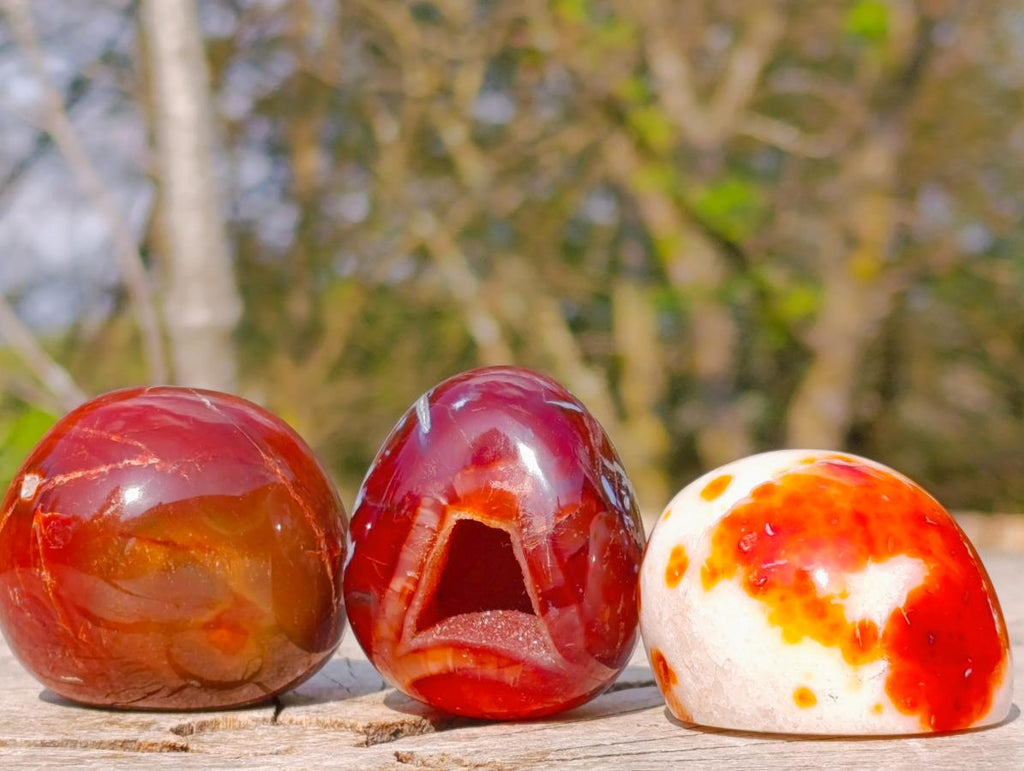 Polished Carnelian Agate Gemstone Geode Free Forms x 12 From Madagascar