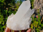 Natural Clear Quartz Clusters x 6 From Madagascar - Toprock Gemstones and Minerals 