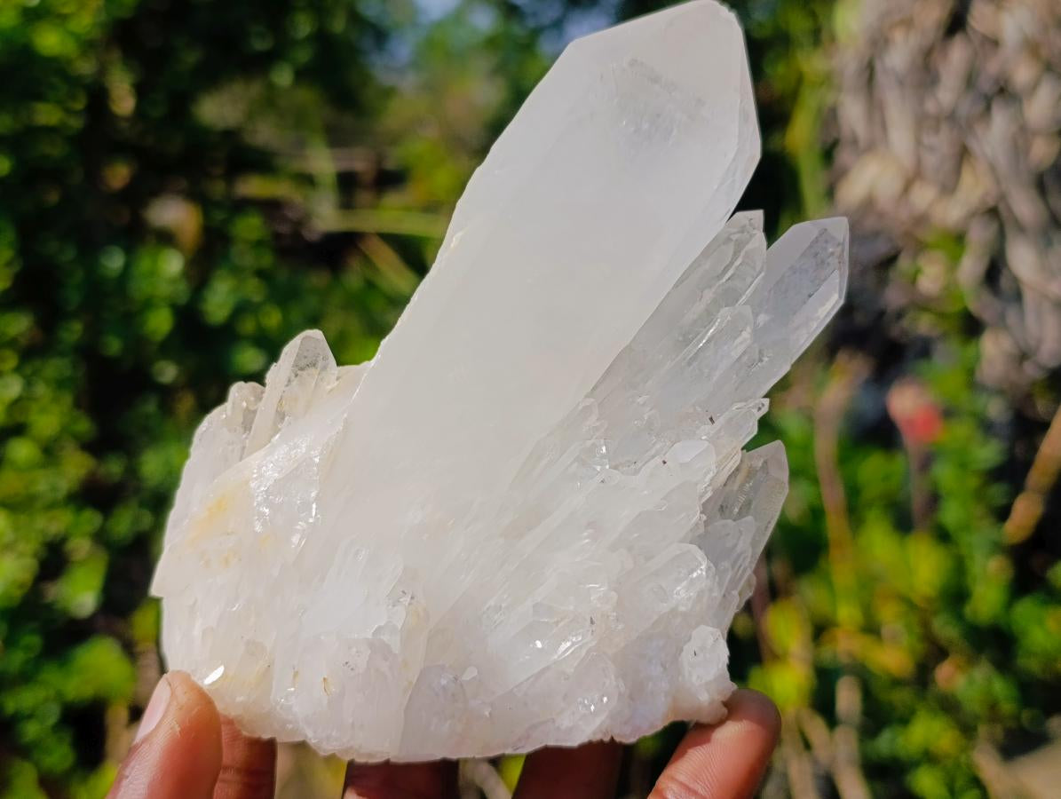 Natural Clear Quartz Clusters x 6 From Madagascar - Toprock Gemstones and Minerals 