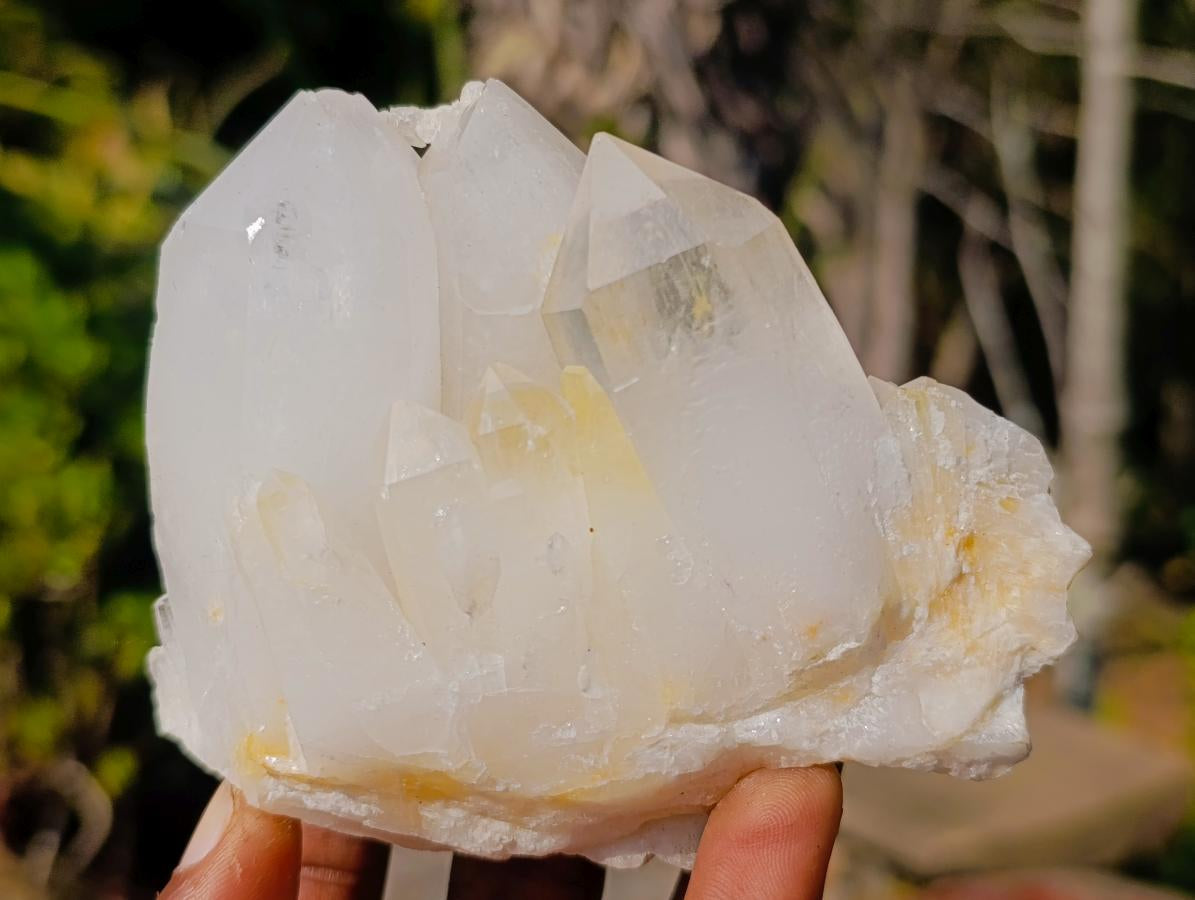 Natural Clear Quartz Clusters x 6 From Madagascar - Toprock Gemstones and Minerals 