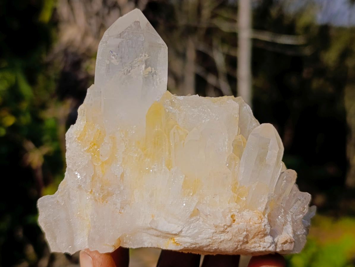 Natural Clear Quartz Clusters x 6 From Madagascar - Toprock Gemstones and Minerals 