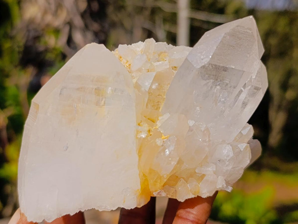 Natural Clear Quartz Clusters x 6 From Madagascar - Toprock Gemstones and Minerals 