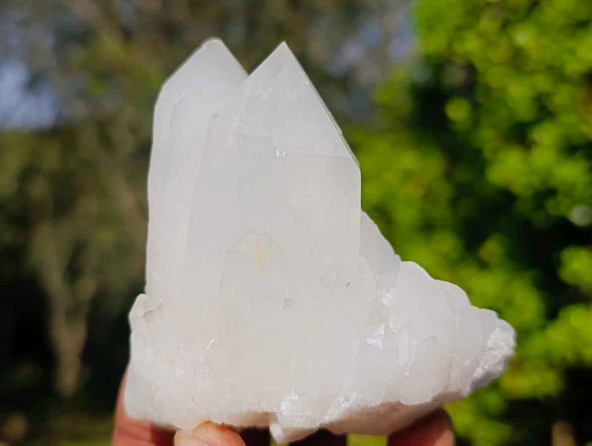 Natural Clear Quartz Clusters x 6 From Madagascar - Toprock Gemstones and Minerals 