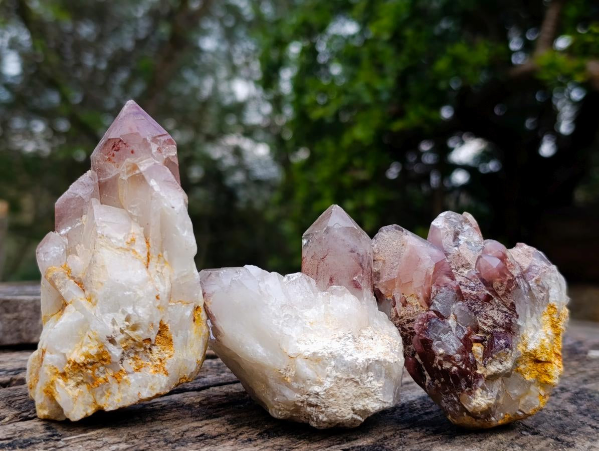 Natural Red Hematoid Quartz Crystals and Clusters x 12 From Karoi, Zimbabwe - Toprock Gemstones and Minerals 