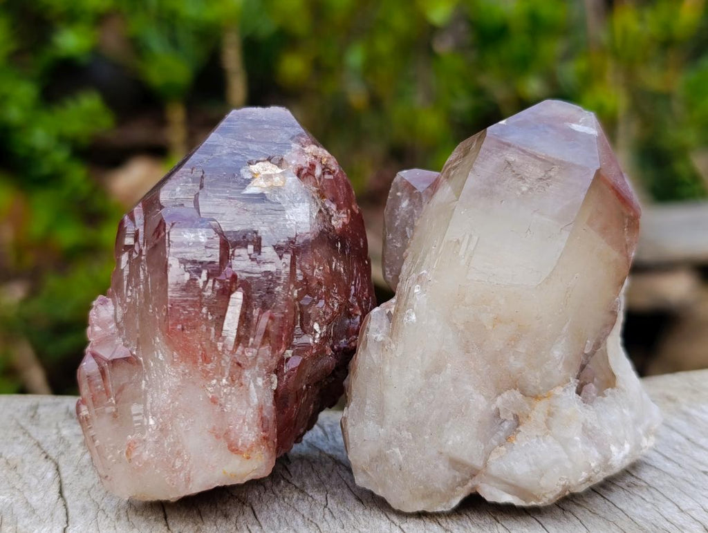 Natural Red Hematoid Quartz Crystals and Clusters x 12 From Karoi, Zimbabwe - Toprock Gemstones and Minerals 