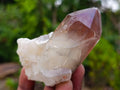 Natural Red Hematoid Quartz Crystals and Clusters x 12 From Karoi, Zimbabwe - Toprock Gemstones and Minerals 