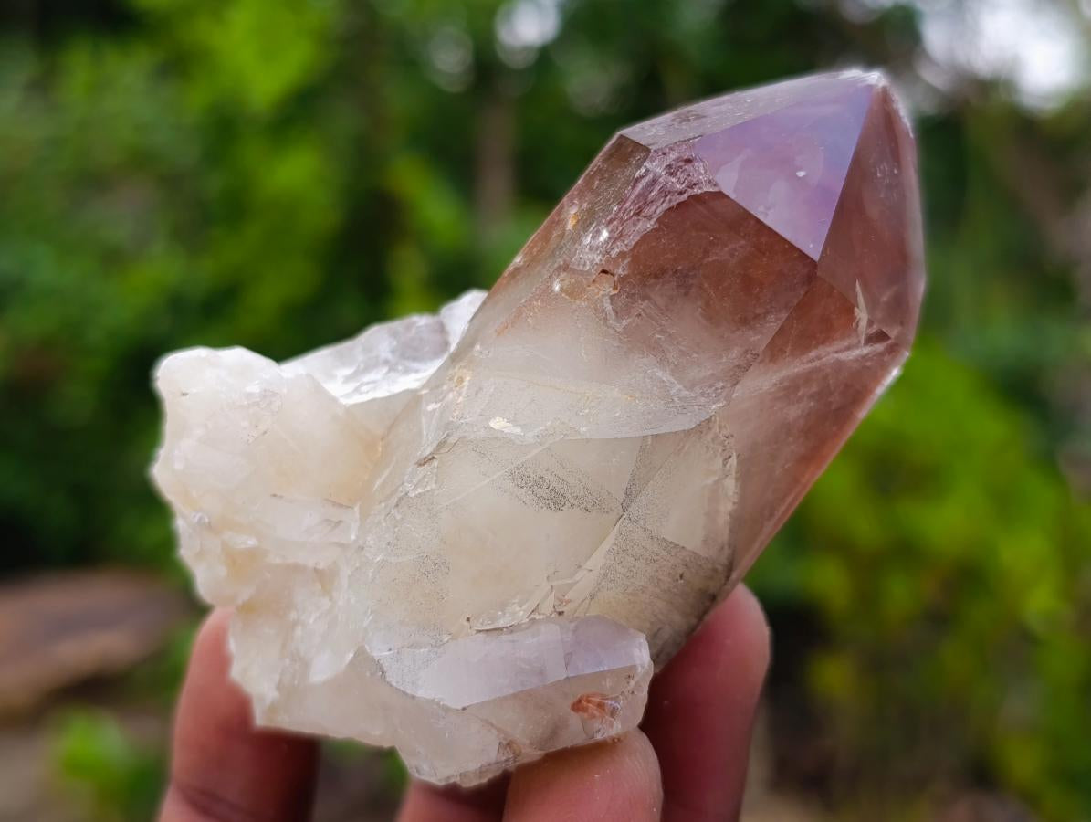 Natural Red Hematoid Quartz Crystals and Clusters x 12 From Karoi, Zimbabwe - Toprock Gemstones and Minerals 